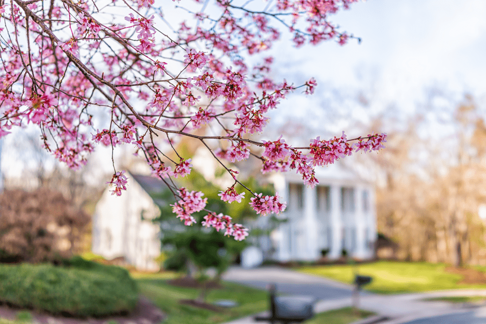 Spring Maintenance: Keep Your HVAC & Plumbing in Top Shape