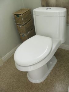 unclog toilet