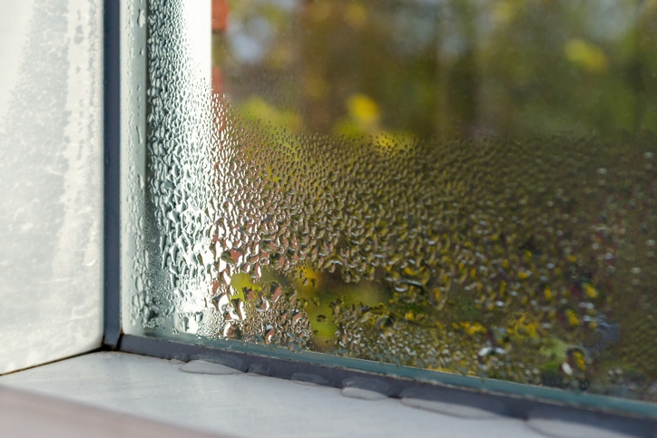 condensation on a window that could lead to moldg